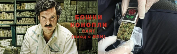 прущие грибы Пролетарск