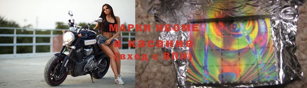 прущие грибы Пролетарск
