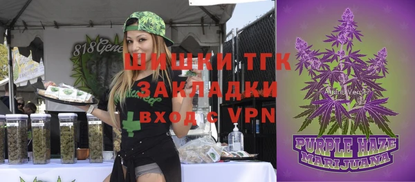 прущие грибы Пролетарск