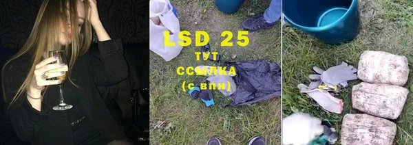 прущие грибы Пролетарск