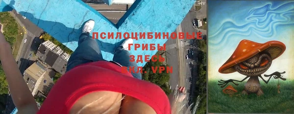 прущие грибы Пролетарск