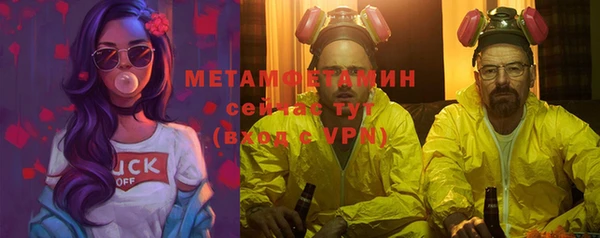 прущие грибы Пролетарск